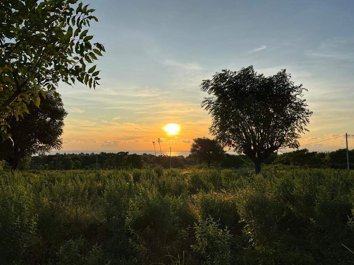 Villa Rosa East Bali Karangasem Dış mekan fotoğraf